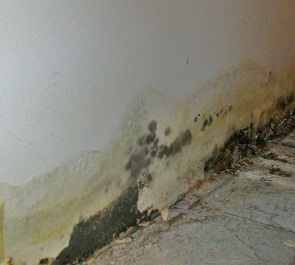 An Image Slideshow